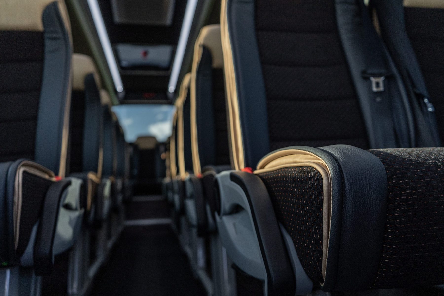 Innenraum eines Midi-Busses: Komfortsitze mit Gurten und Lederbezug entlang des Mittelgangs